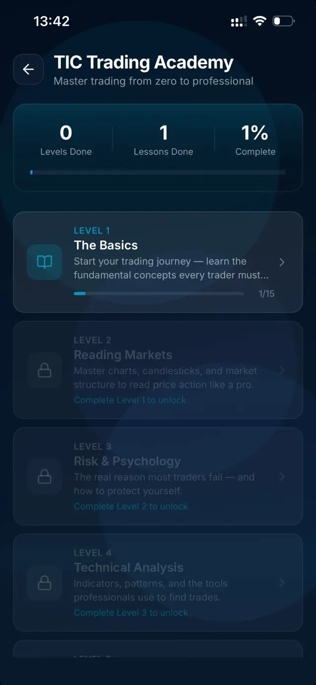 TIC Trading Academy levels and lessons